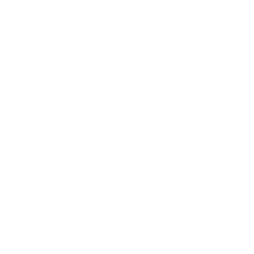phone-solid